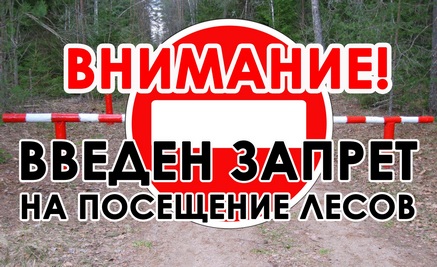 Внимание! Введен запрет на посещение лесов.